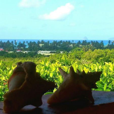 Studios Carribean Sea View Sainte-Anne Exterior photo